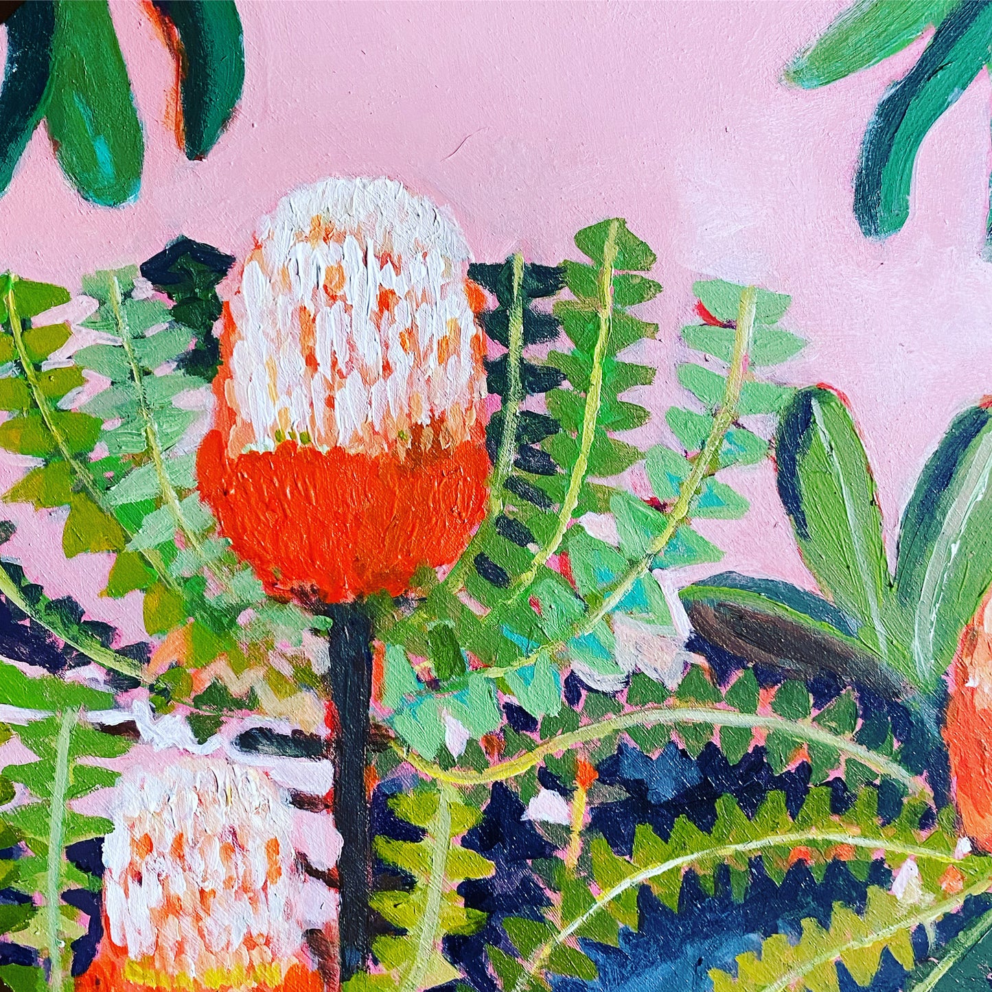 Pink poppet